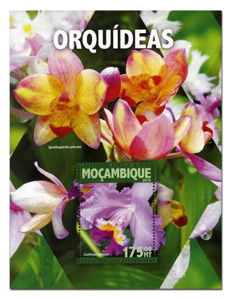 n° 1040 : Timbre MOZAMBIQUE Blocs et feuillets