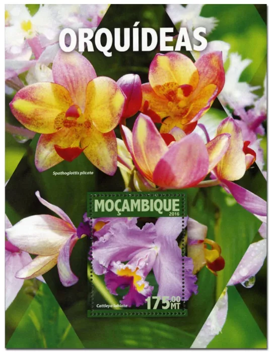 n° 1040 : Timbre MOZAMBIQUE Blocs et feuillets