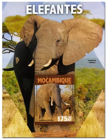 n° 1049 : Timbre MOZAMBIQUE Blocs et feuillets