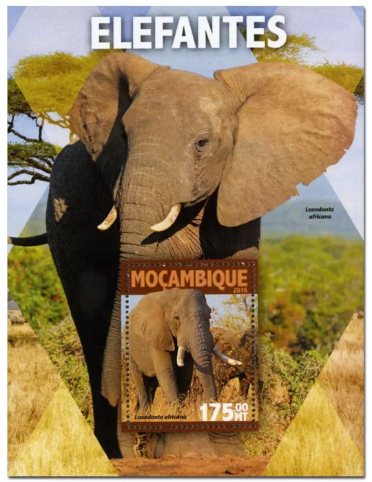 n° 1049 : Timbre MOZAMBIQUE Blocs et feuillets