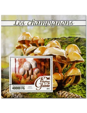 n° 1928 : Timbre GUINÉE Blocs et feuillets