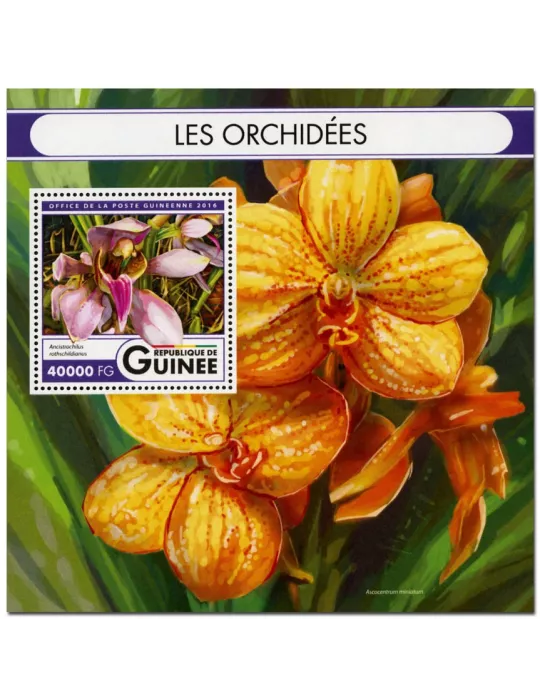 n° 1973 : Timbre GUINÉE Blocs et feuillets