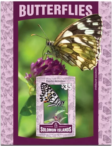 n° 490 : Timbre SALOMON Blocs et feuillets