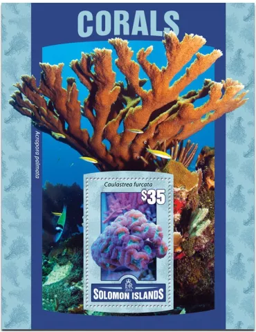 n° 492 : Timbre SALOMON Blocs et feuillets