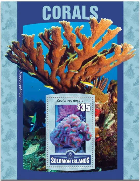 n° 492 : Timbre SALOMON Blocs et feuillets