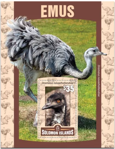 n° 495 : Timbre SALOMON Blocs et feuillets