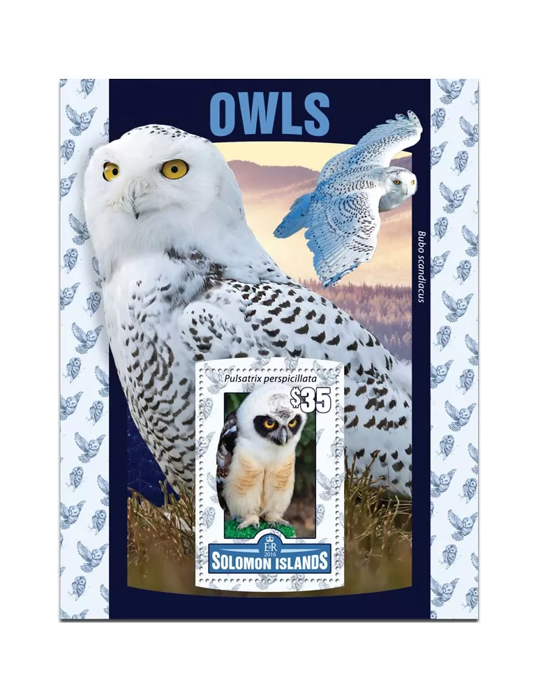 n° 504 : Timbre SALOMON Blocs et feuillets