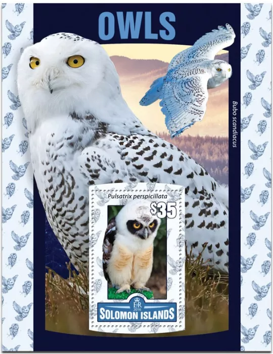 n° 504 : Timbre SALOMON Blocs et feuillets