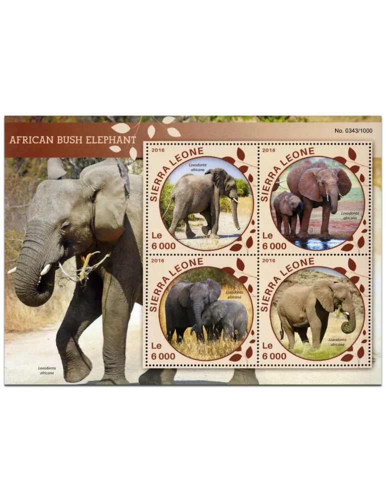 n° 5653 : Timbre SIERRA LEONE Poste