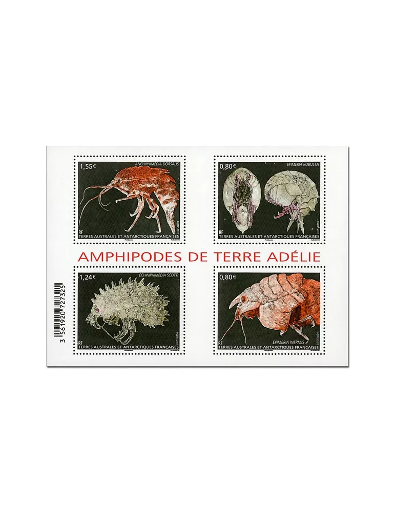 n° F807 - Timbre TAAF Poste