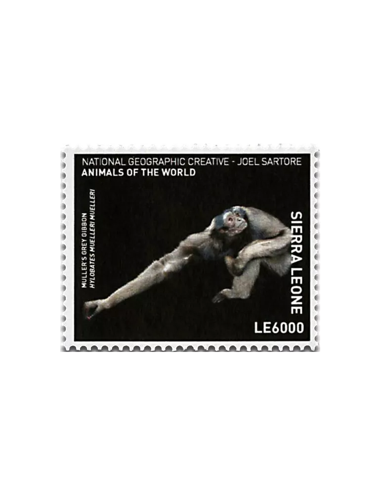 n° 6605 - Timbre SIERRA LEONE Poste