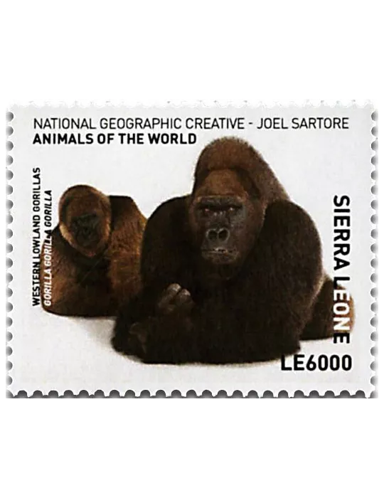n° 6605 - Timbre SIERRA LEONE Poste