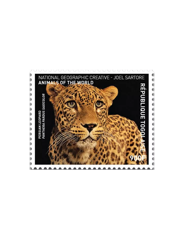 n° 5430 - Timbre TOGO Poste