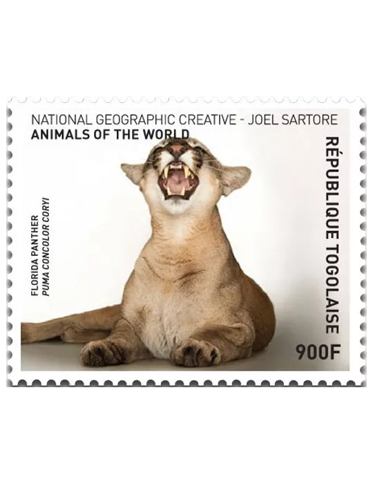 n° 5430 - Timbre TOGO Poste