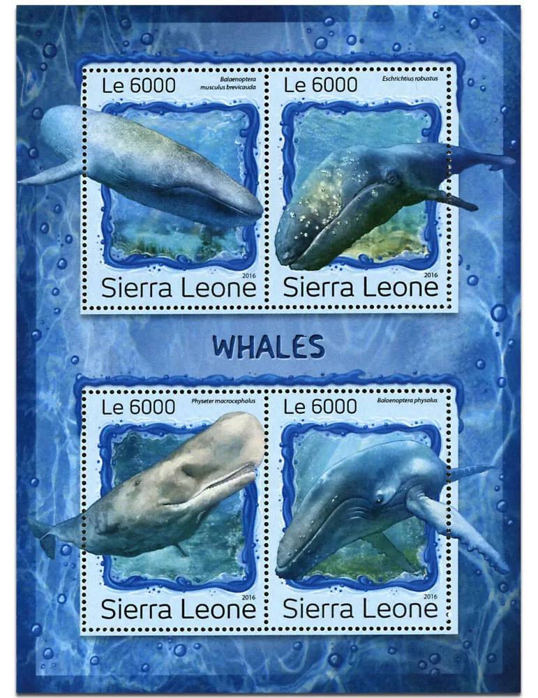 n° 6561 - Timbre SIERRA LEONE Poste