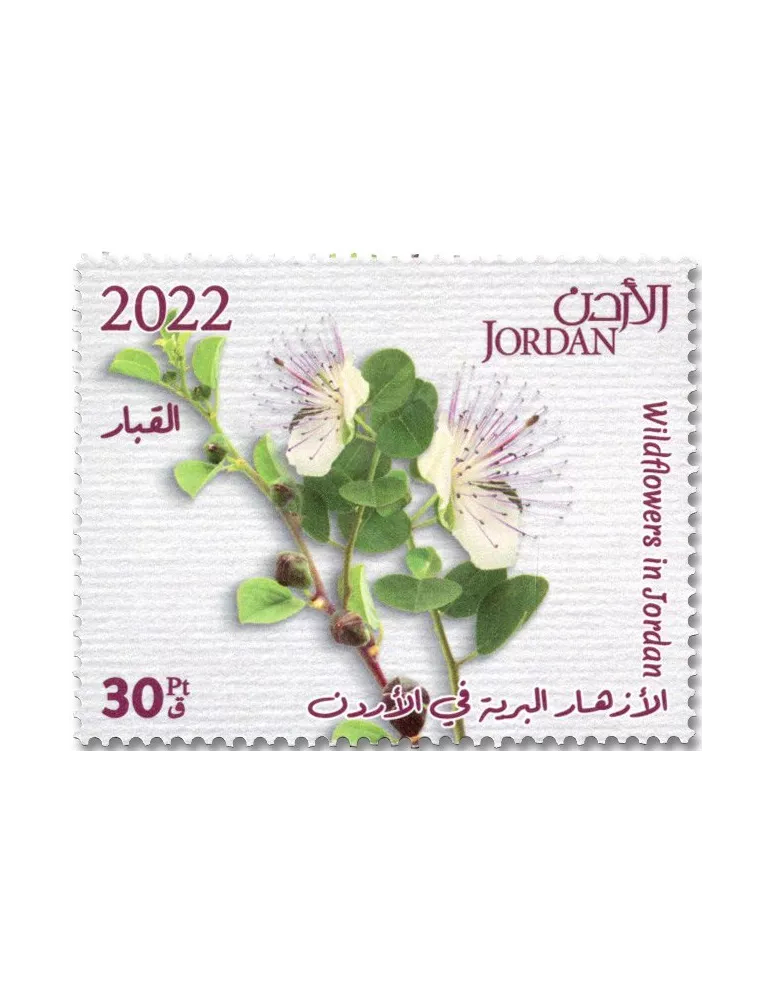 n° 2338/2347 - Timbre JORDANIE Poste