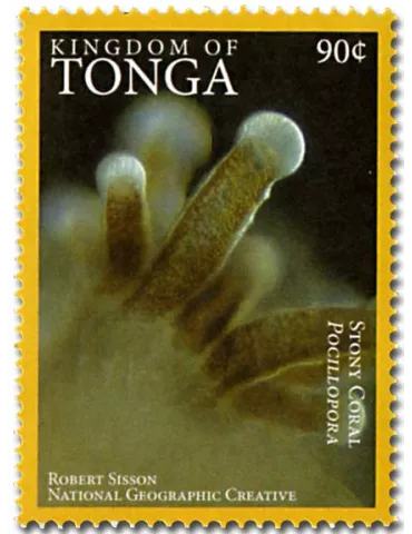 n° 1468A - Timbre TONGA Poste