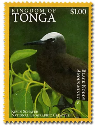 n° 1468A - Timbre TONGA Poste 2
