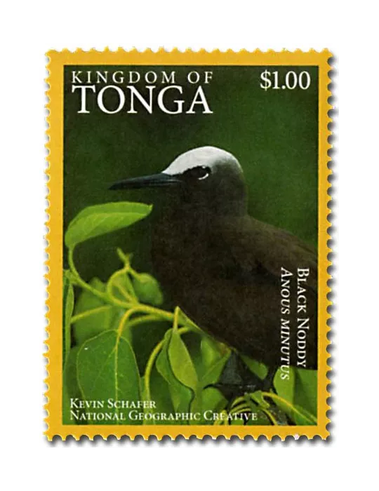 n° 1468A - Timbre TONGA Poste
