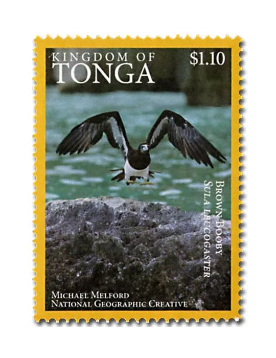 n° 1468A - Timbre TONGA Poste