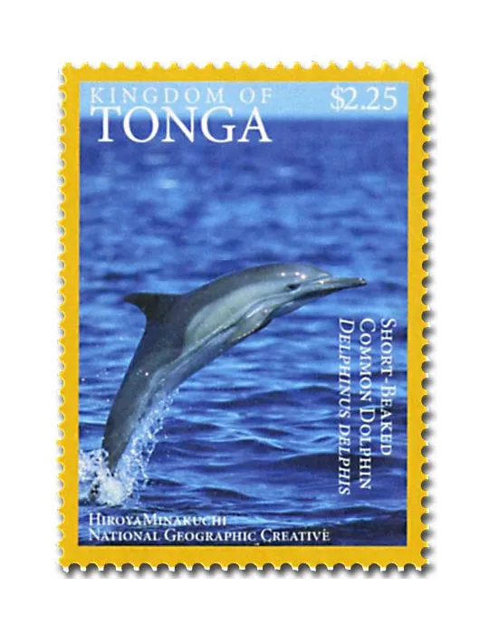 n° 1468A - Timbre TONGA Poste