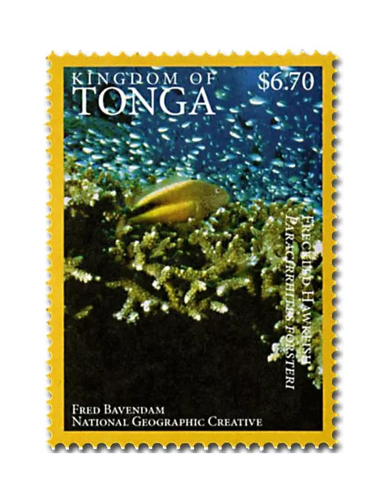 n° 1468A - Timbre TONGA Poste