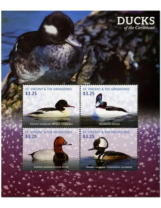 n° 6021 - Timbre SAINT-VINCENT Poste