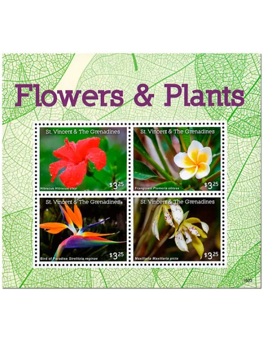 n° 6093 - Timbre SAINT-VINCENT Poste