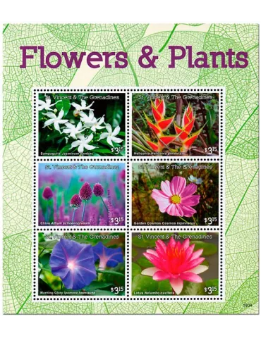 n° 6097 - Timbre SAINT-VINCENT Poste