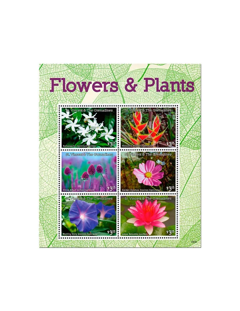 n° 6097 - Timbre SAINT-VINCENT Poste