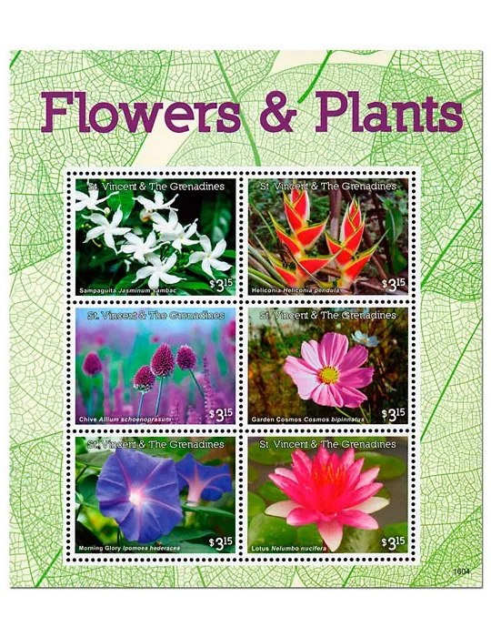 n° 6097 - Timbre SAINT-VINCENT Poste