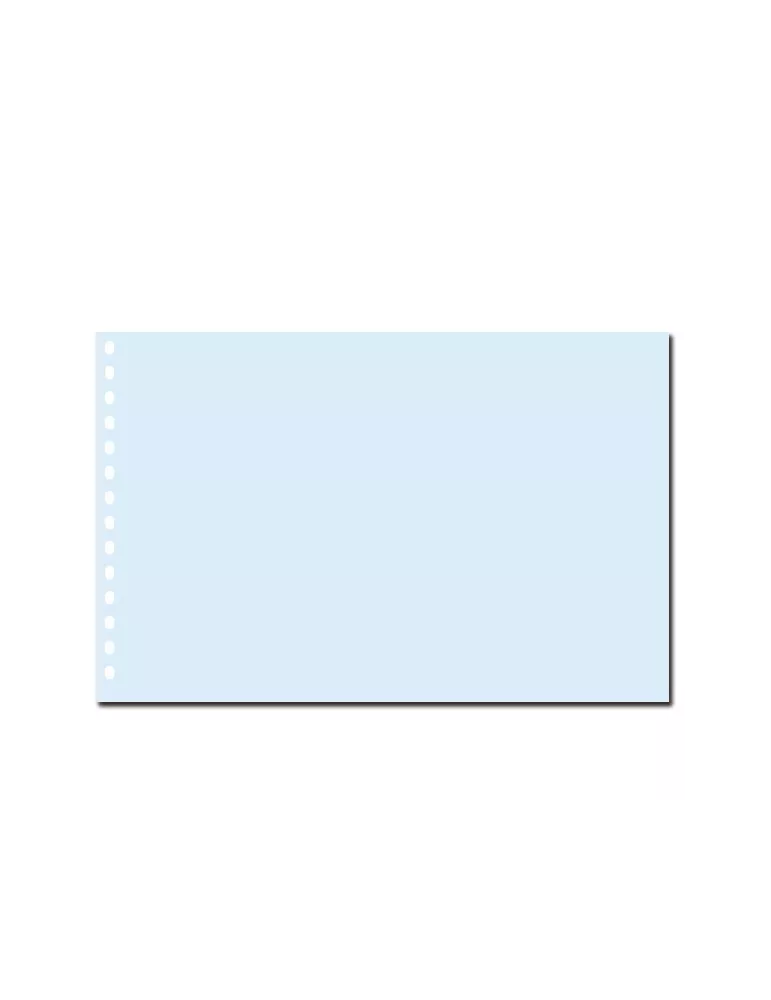 FEUILLES TRANSPARENTES - SAFE (pour Grand Album A3 - 1021S)