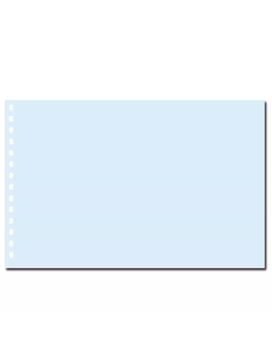 FEUILLES TRANSPARENTES - SAFE (pour Grand Album A3 - 1021S)