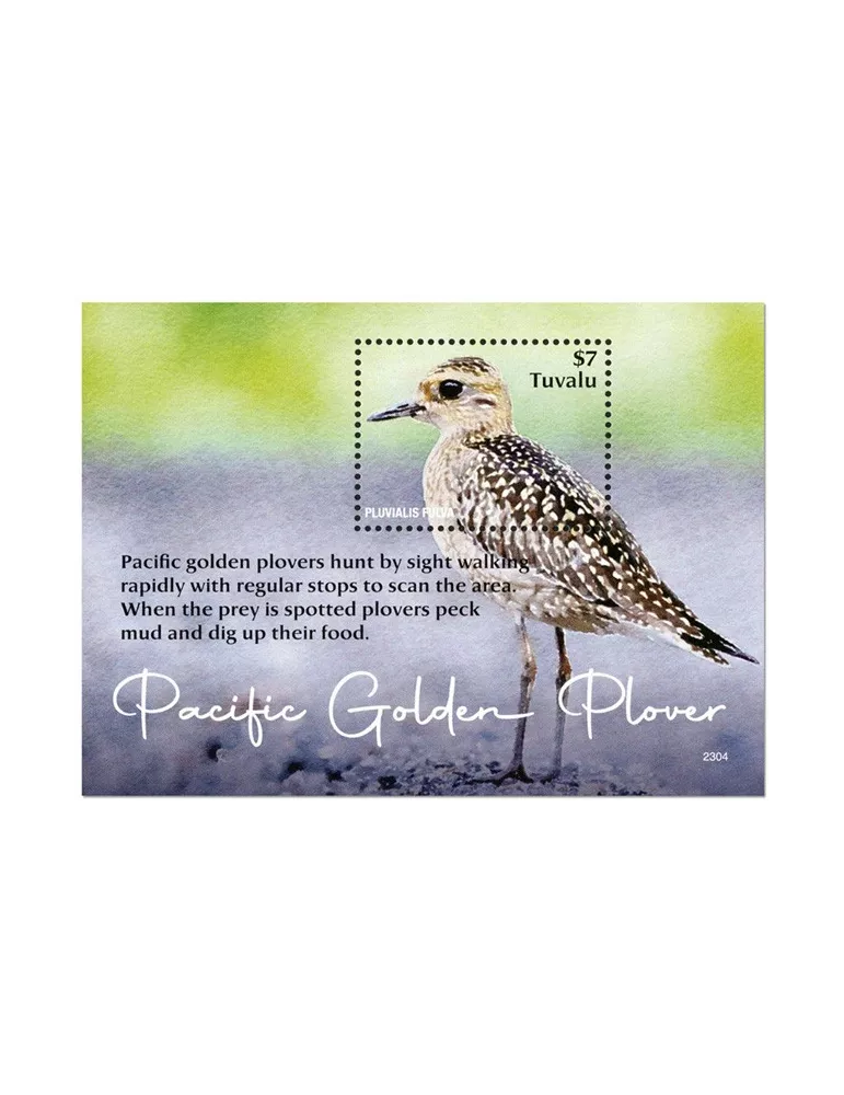 n° 338 - Timbre TUVALU Blocs et feuillets