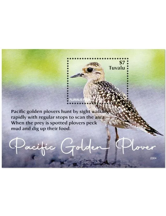 n° 338 - Timbre TUVALU Blocs et feuillets