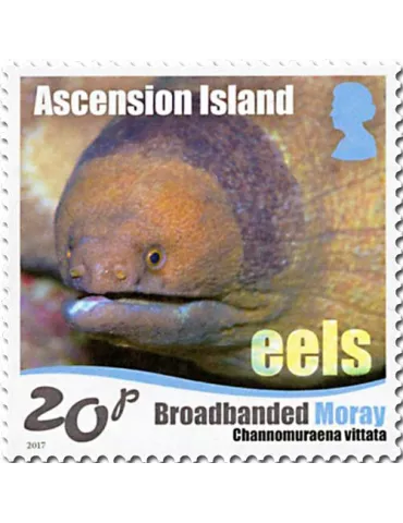 n° 1175/1180 - Timbre ASCENSION Poste