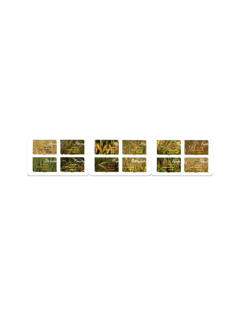 n° BC1442 - Timbre France Autoadhésifs