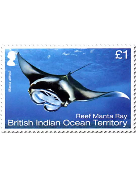 n° 514/519 - Timbre OCEAN INDIEN Poste