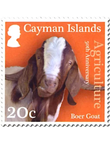 n° 1261/1263 - Timbre CAIMANES Poste