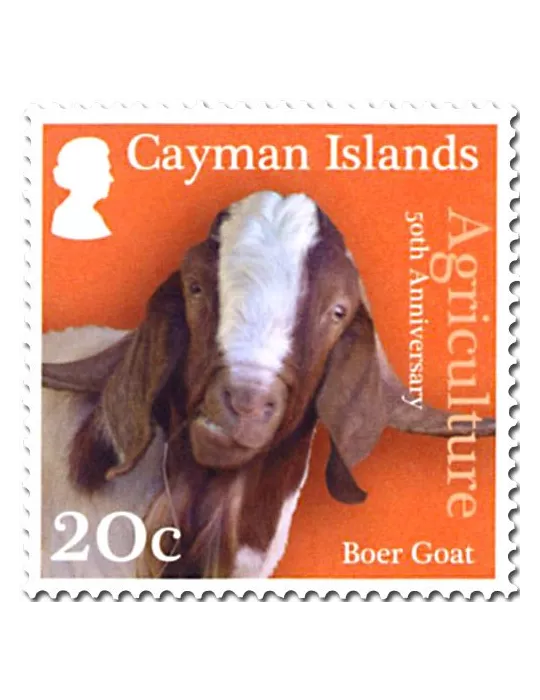 n° 1261/1263 - Timbre CAIMANES Poste