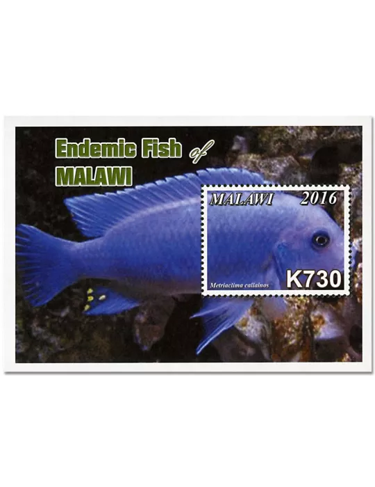 n° 97/101 - Timbre MALAWI Blocs et feuillets