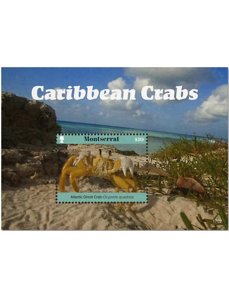 n° 175 - Timbre MONTSERRAT Blocs et feuillets