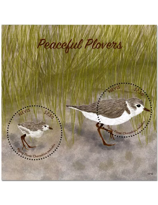 n° 383 - Timbre NEVIS Blocs et feuillets