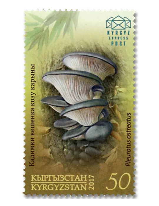 n° 46/49 - Timbre KIRGHIZISTAN (Kyrgyz Express Post) Poste