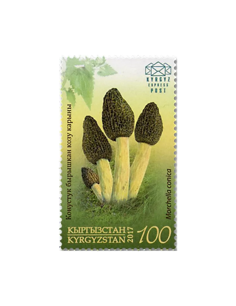 n° 46/49 - Timbre KIRGHIZISTAN (Kyrgyz Express Post) Poste