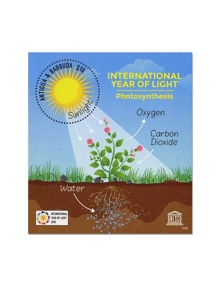 n° 741 - Timbre ANTIGUA Blocs et feuillets