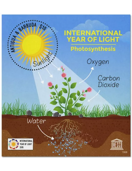 n° 741 - Timbre ANTIGUA Blocs et feuillets