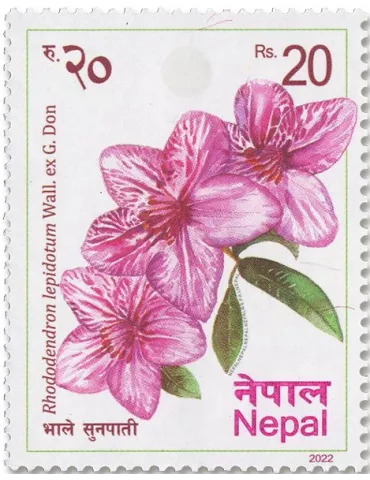 n° 1372/1377 - Timbre NEPAL Poste