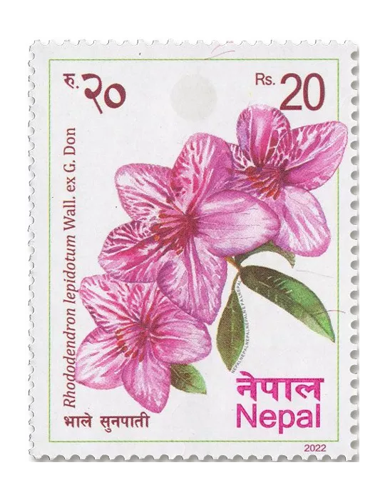 n° 1372/1377 - Timbre NEPAL Poste