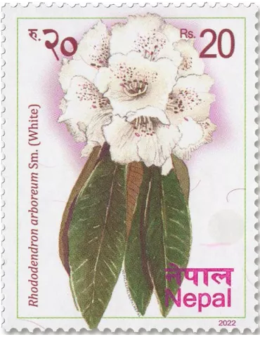 n° 1372/1377 - Timbre NEPAL Poste 2
